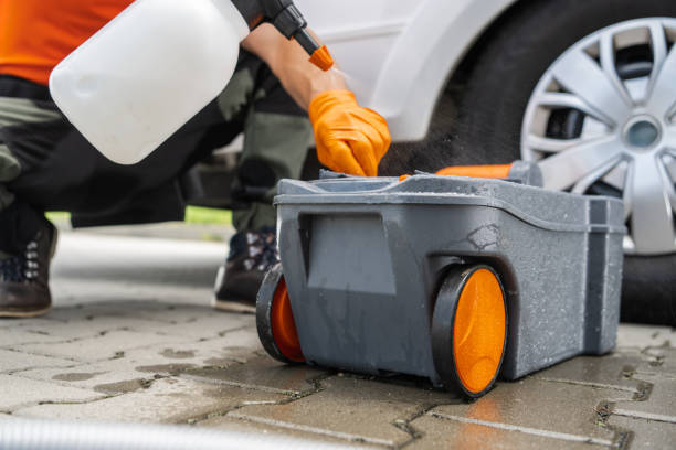 Best Root Management and Removal  in Groveland, ID